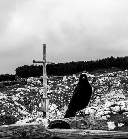 A verticalgrayscale shot of a crow perched outdoors, with a wooden cross in the background