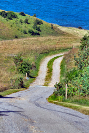 A narrow road leading to the seasideの写真素材