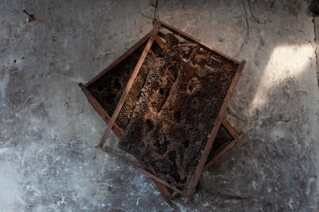A closeup of two old bee hive frames hang on the gray wallの写真素材