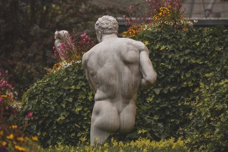 A back view of a statue of a naked male in the zoo in the Czech Republicの写真素材