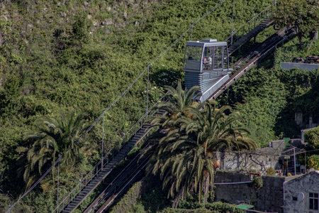 An aerial view of Telepherique on the track with green trees in Porto, Portugal on a sunny dayの写真素材