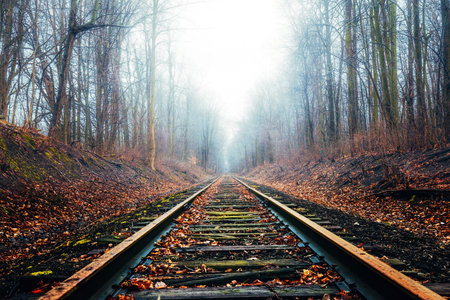 The long train tracks through a gloomy foggy forestの写真素材