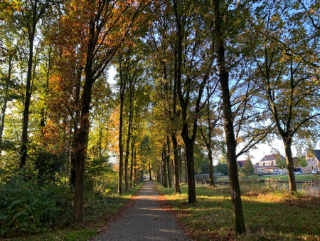 A beautiful pathway in a park surrounded by lush green treesの写真素材