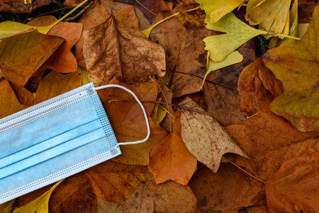 Covid-19 background concept with protective face mask on fall leaves. Directly above photo of blue surgical mask on autumn foliage.の写真素材