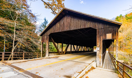 A closeup shot of a covered bridge in a countryside