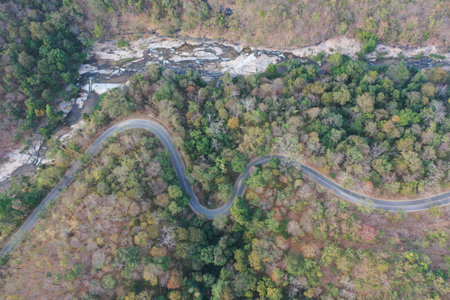 A beautiful view of a landscape with a road and large trees