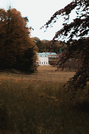 A vertical shot of a building in an autumn park in Parisの写真素材