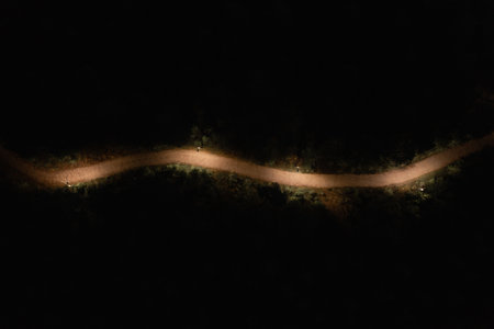 An aerial view of an illuminated road at nightの写真素材