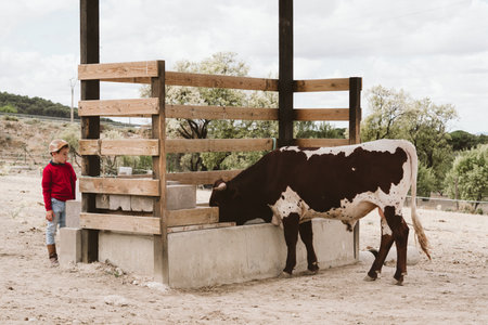 A young caucasian village boy looking at a cow on a farmの写真素材