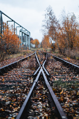 A view of two railroads crossing; autumn in the countrysideの写真素材