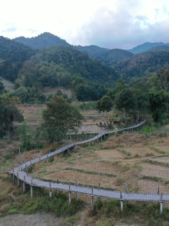 A beautiful view of a landscape with large trees and fieldsの写真素材