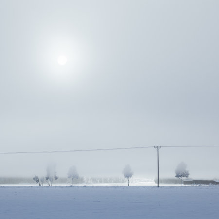 A peaceful winter landscape on a sunny frosty morningの写真素材