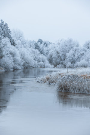 A vertical shot of a frozen lake surrounded with trees in the winter