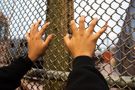 Two hands on a metal fence - imprisonment conceptの写真素材