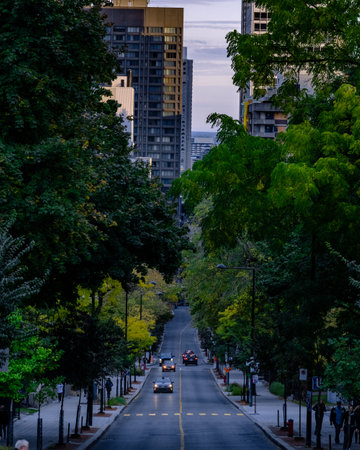 A vertical shot of a street in Montreal, Canada at autumnの写真素材