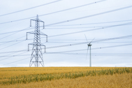 A scenic view of a transmission tower and a windmill on the field