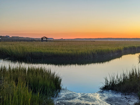 The beautiful scenery of a strim filled with grass with a sunset backgroundの写真素材