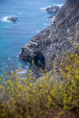 A vertical shot of a rocky cliff and wildflowers by the sea
