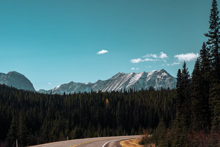 A beautiful scenery of landscape with rocky mountains and trees in Canadaの写真素材