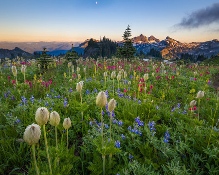 A beautiful meadow with blooming colorful wildflowers near mountainsの写真素材