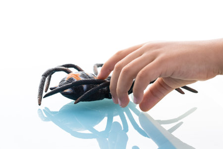 A beautiful shot of a human hand holding a toy spiderの写真素材