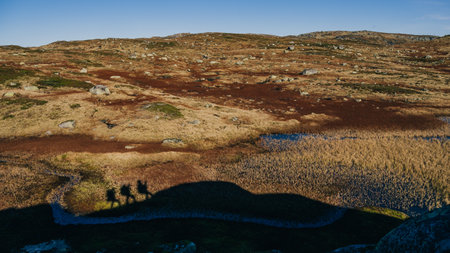 The shadows of three people hiking on Norwegian mountains under the sunlight