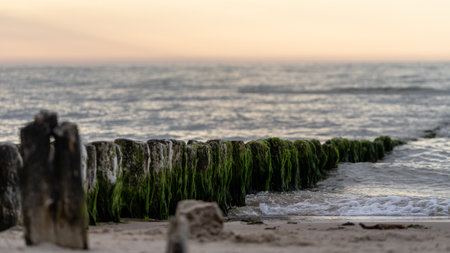 A scenic view of rocks covered in green moss on the beach
