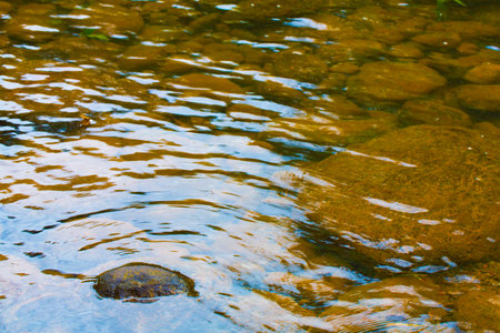 A close-up shot of a full of rocks lake