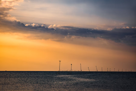 The silhouette of birds on the poles coming out of sea water surface against a cloudy sky at sunset