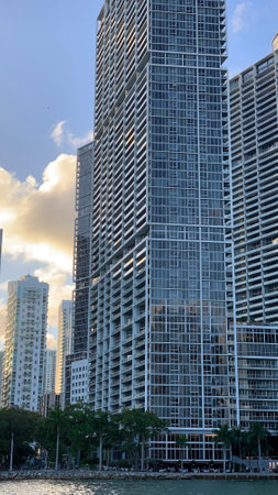 A vertical shot of the modern buildings of the city of Miami