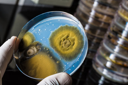 A close-up shot of analysis of the results of an experimentの写真素材