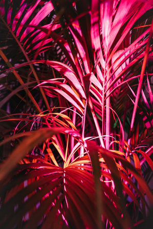 A vertical shot of palm tree under pink neon lights