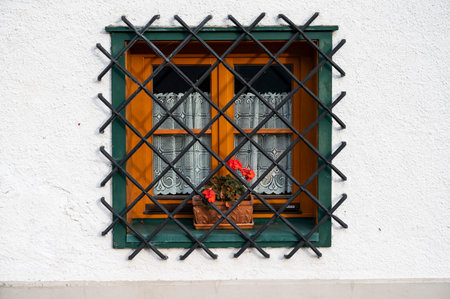 A vintage wooden window with a lattice and a potted plant captured in Austriaの写真素材