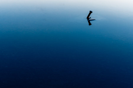 An airplane flying on a blue clear sky background