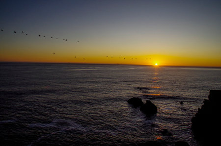 A beautiful yellow sunset over a sea with flying birds in the sky