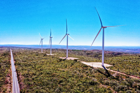 Some wind power generation turbines in the state of Bahia in Brazil