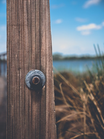 A vertical closeup shot of a nail on a wooden logの写真素材