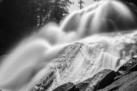 A grayscale shot of a waterfall and trees