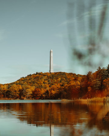 A mesmerizing shot of a lake in a forest on a day in autumn