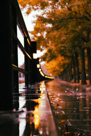 A vertical shot of a path in a park during the day surrounded with tree'sの写真素材
