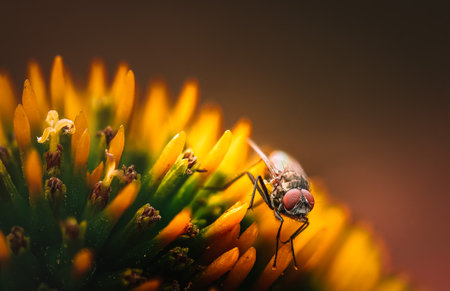 A closeup of a fly on the flower stigma.