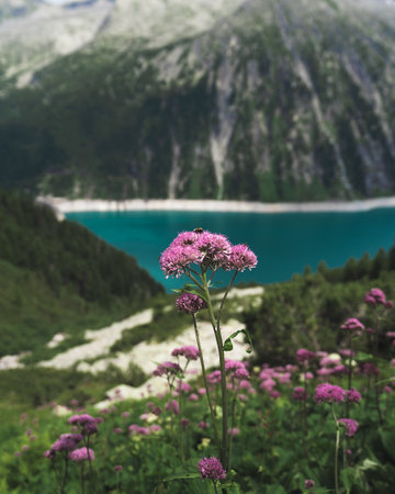 A vertical shot of orpine growing on hills surrounded by a lake under the sunlight in the...