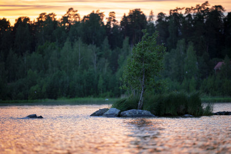 A scenic view of a lake surrounded by lush trees during a bright sunsetの写真素材