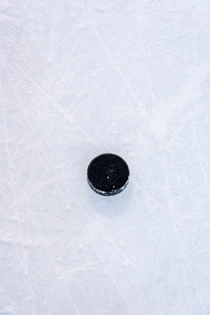 Clean empty ice hockey rink. Skate blade marks and snow crumbs. There is old playing puck on surface...