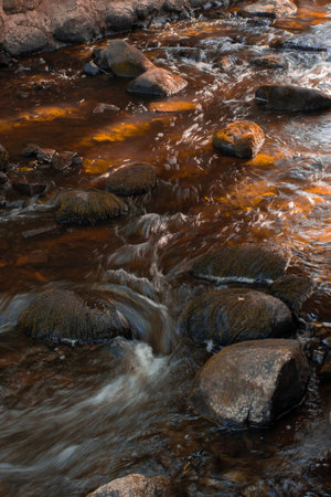 A vertical shot of rocks in the streamの写真素材