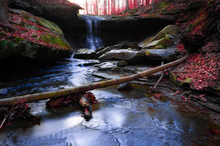 A stream flowing on rocks in an autumn forestの写真素材