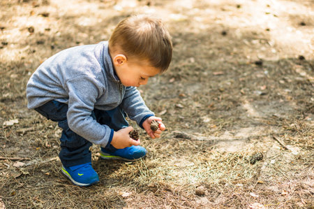 A cute little Polish boy holding pine corns while playing in a sunny Pyrlandia park in Poznan, Polandの写真素材