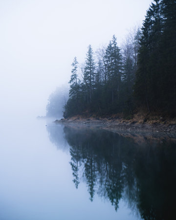 A vertical shot of pine trees' reflection to the lake