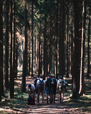 A vertical shot of a group of tourists in the woodsの写真素材