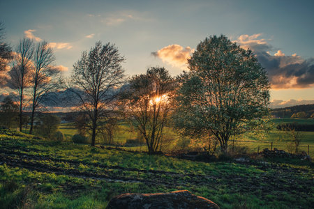 Some trees in a valley at sunsetの写真素材